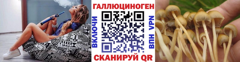 shop телеграм  MEGA вход  Псилоцибиновые грибы MAGIC MUSHROOMS  Малоархангельск  наркота 